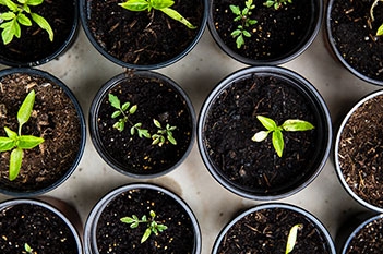 Latest sustainability